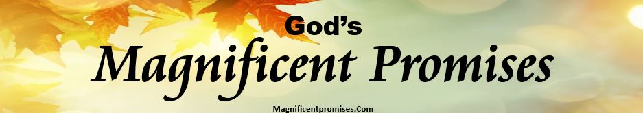 God's Magnificent Promises Banner